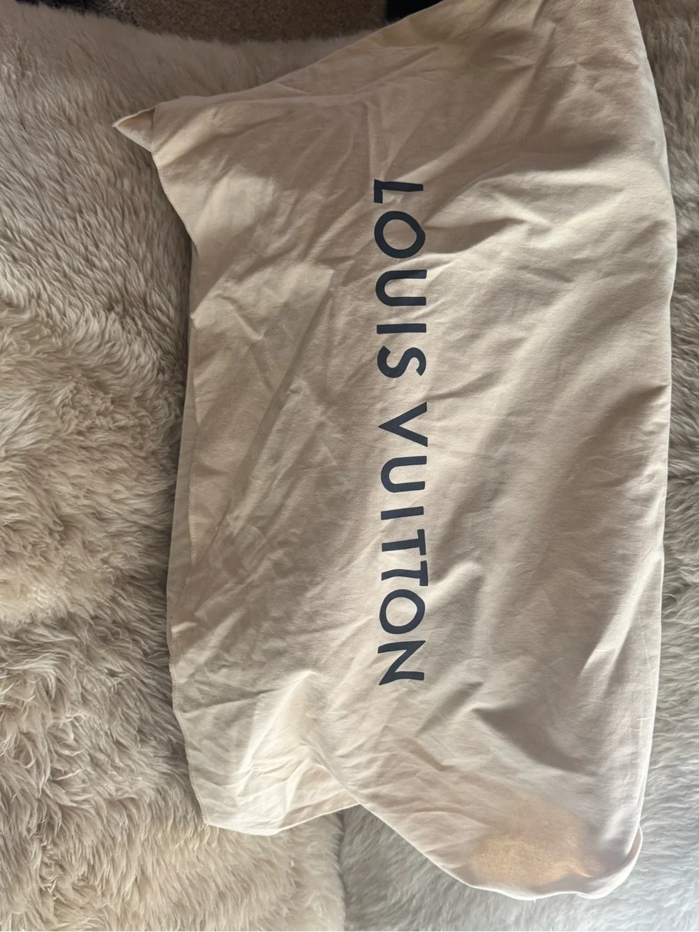 Louis Vuitton oversize monogram travel tote